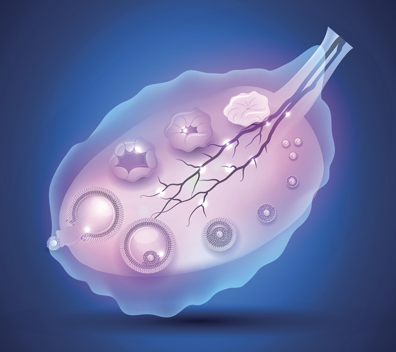 长沙地区单身未婚有哪些私立的机构可以做试管技术